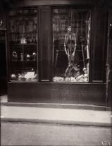Naturaliste, rue Ecole de Médecine
Atget – 1926
(MoMA)
